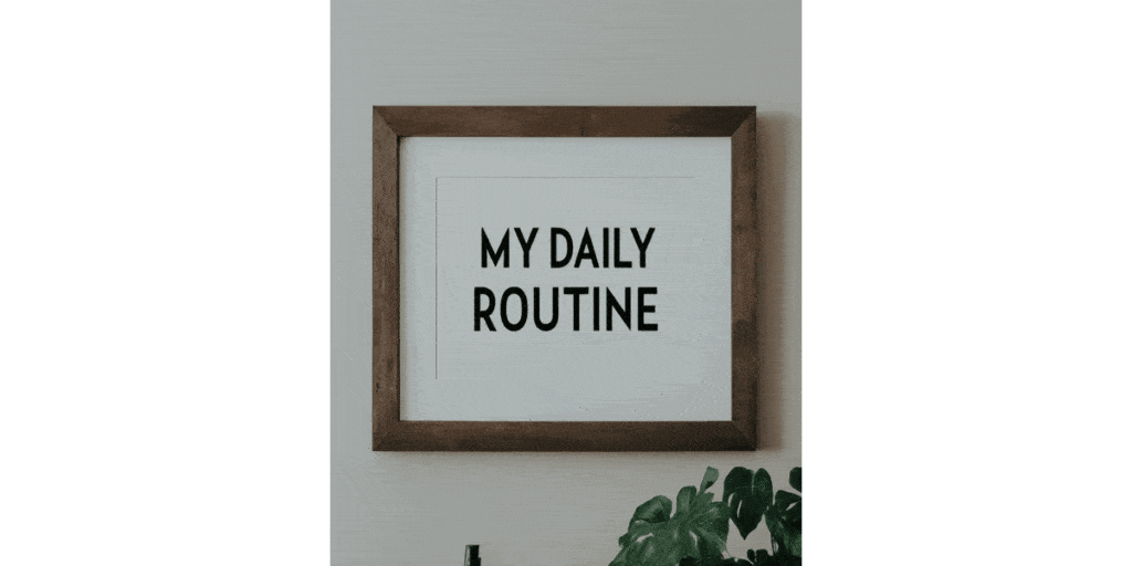 My Daily Routine